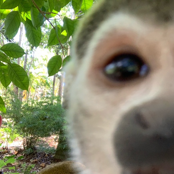 Meet your Posher, Chantel - Picture 1 of 1